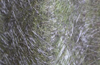 Blackjack fibreglass roof work