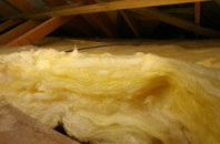 Blackjack pitch roof insulation